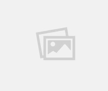 MorroPrev Publica Demonstrações Contábeis do Exercício 2024
